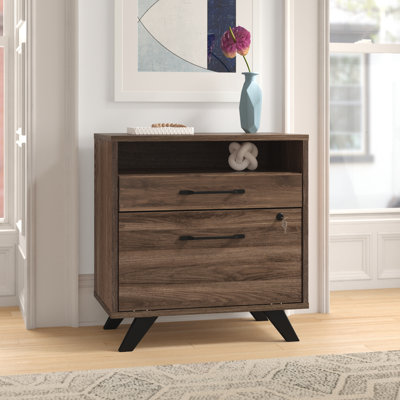 Helsy Lateral 2-Drawer File Cabinet Natural Walnut by Ivy Bronx