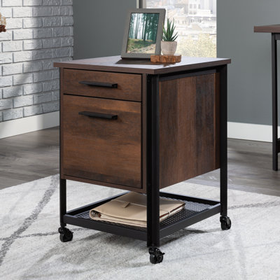 Prochaska 2 Drawer Lateral Filing Cabinet by Trent Austin Design