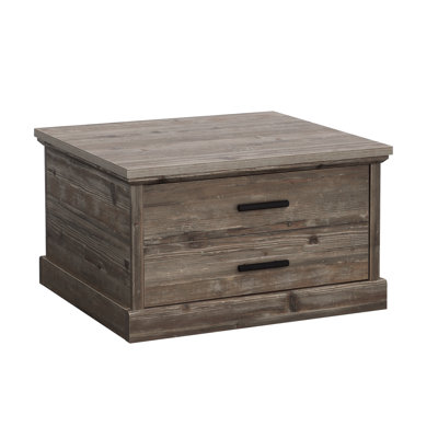 Hajoon Frame Coffee Table with Storage by Millwood Pines