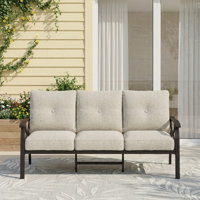 Dorisann Outdoor Metal Sofa by Red Barrel Studio