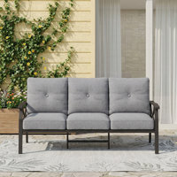 Dorisann Outdoor Metal Sofa by Red Barrel Studio