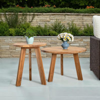 Oak Park 2 Piece Nesting Tables by Beachcrest Home