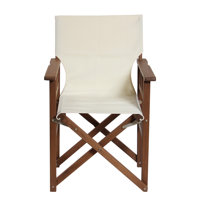 Valenzuela Folding Director Chair by Arlmont & Co.
