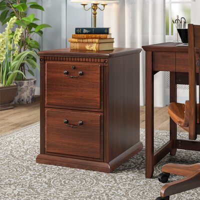 Reynoldsville 2-Drawer Vertical Filing Cabinet by Darby Home Co