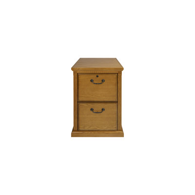 Reynoldsville 2-Drawer Vertical Filing Cabinet by Darby Home Co