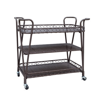Golden Resin Wicker Serving Bar Cart by Bay Isle Home