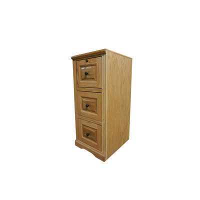 Rafeef 2-Drawer Vertical Filing Cabinet by Foundry Select