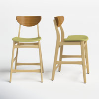 Fitz 24" Counter Stool by AllModern