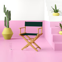 Oktan Folding Director Chair by Breakwater Bay