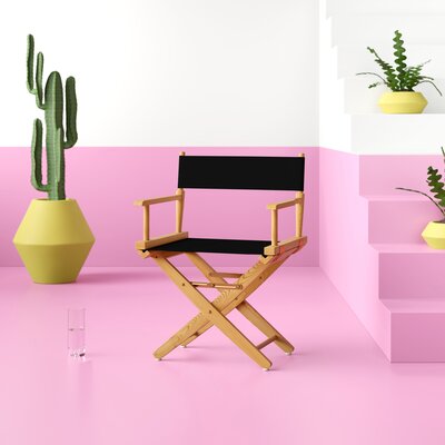 Oktan Folding Director Chair by Breakwater Bay