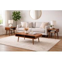 Vanwyk 3-Piece Coffee Table Set by Mercury Row