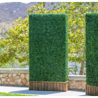 Scroggins 3.5 ft. H x 3.5 ft. W Scroggins Polyethylene Privacy Screen by Gracie Oaks