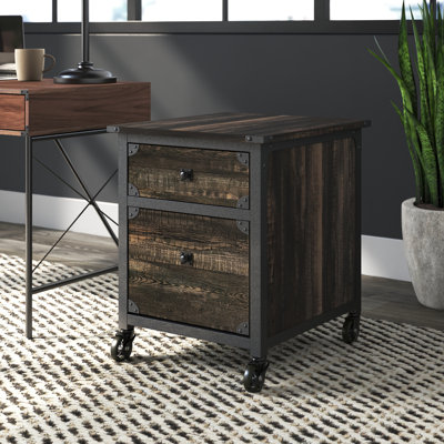 Rushton 2-Drawer Vertical Filing Cabinet by Williston Forge