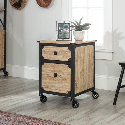 Rushton 2-Drawer Vertical Filing Cabinet by Williston Forge