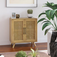 Casspi 2 Door Accent Cabinet by Sand & Stable