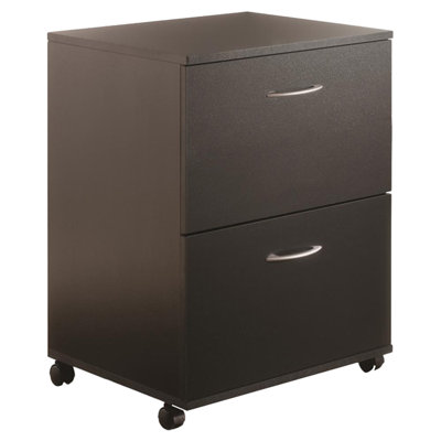 Carter 2-Drawer Vertical Filing Cabinet by The Twillery Co.