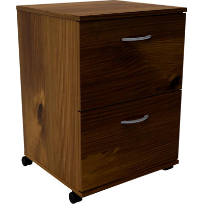 Carter 2-Drawer Vertical Filing Cabinet by The Twillery Co.