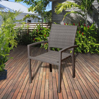Alyisa Wicker Gray Patio Dining Chair (Set Of 2) by Lark Manor