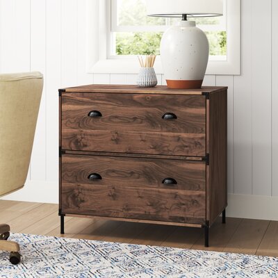Wycombe 2-Drawer Lateral Filing Cabinet by Laurel Foundry Modern Farmhouse