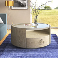 Caherty Cazenovia Coffee Table with Storage by Brayden Studio