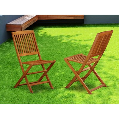 Luciano Folding Patio Dining Chair by Longshore Tides