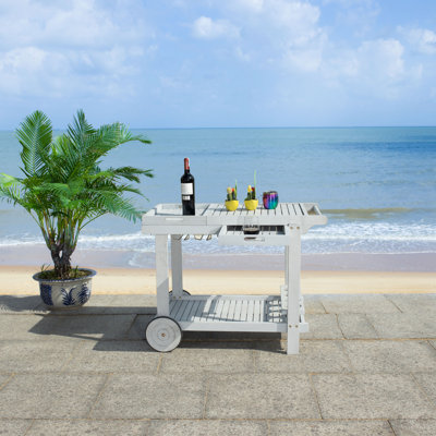 Galien Bar Cart by Charlton Home