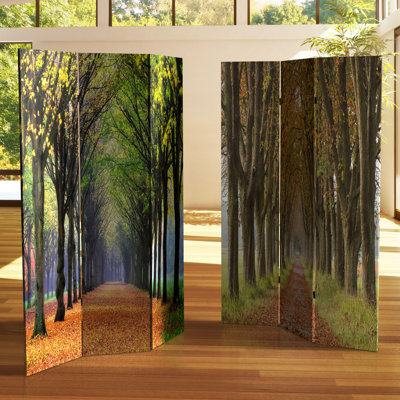 Wilke 47.25" W x 72" H 3- Panel Folding Room Divider by World Menagerie