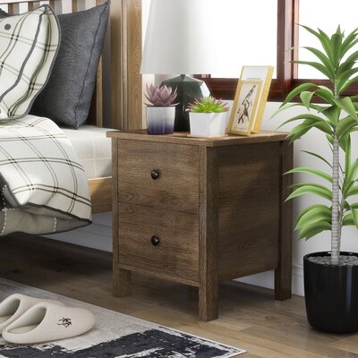 Maja 2 Drawer Nightstand by Longshore Tides