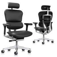 Ergohuman Ergonomic Leather Task Chair by Eurotech Seating