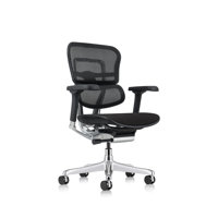 Ergohuman Task Chair by Eurotech Seating