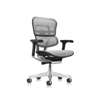 Ergohuman Task Chair by Eurotech Seating
