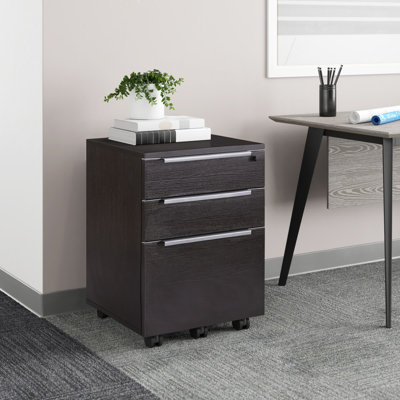 Maysey 3-Drawer Mobile Vertical Filing Cabinet by Inbox Zero
