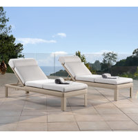 Santrez Sun Lounger Set with Cushions by Latitude Run