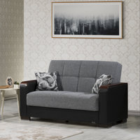Annalice 65 in. Fabric 2-Seater 3-in-1 Sleeper Loveseat Sofa Bed with Storage by Hokku Designs
