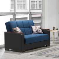 Annalice 65 in. Fabric 2-Seater 3-in-1 Sleeper Loveseat Sofa Bed with Storage by Hokku Designs