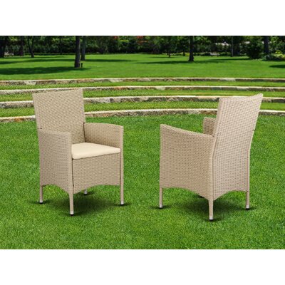 Leonora Patio Dining Armchair with Cushion by Etta Avenue