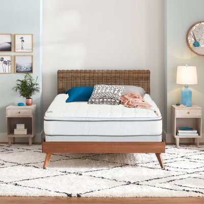 9" Medium Firm Euro Top Fully Assembled Innerspring Hybrid Mattress by White Noise