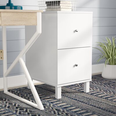 Lynch 2-Drawer Vertical Filing Cabinet by Ebern Designs
