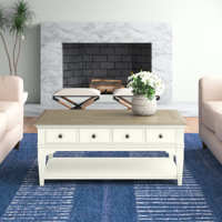 Gouldin Coffee Table with Storage by Rosecliff Heights