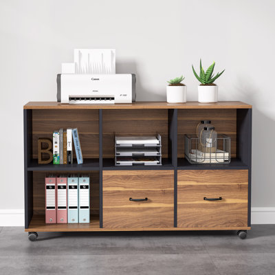 2-Drawer Mobile Lateral Filing Cabinet by Latitude Run