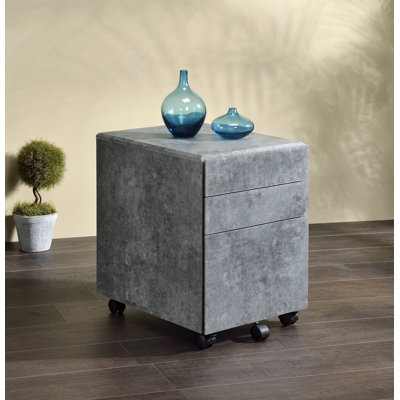 Rotem 3-Drawer Mobile Vertical Filing Cabinet by Williston Forge