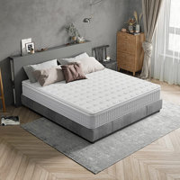 Ajinkya 10 Inch Pocket Innerspring Hybrid Mattress in a Box by Alwyn Home