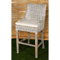 Bar & Counter Stool by Bayou Breeze