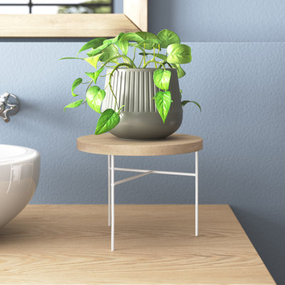 Kimela Round Pedestal Plant Stand by Union Rustic
