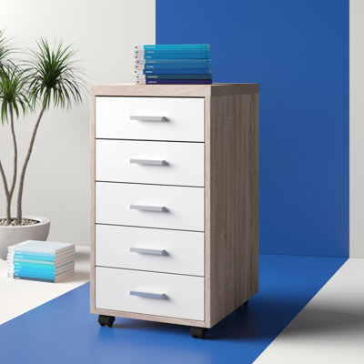 Cowell 5-Drawer Mobile Vertical Filing Cabinet by Hashtag Home