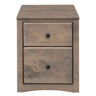 Malani 2-Drawer Mobile Vertical Filing Cabinet by Foundry Select