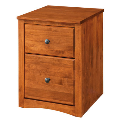 Malani 2-Drawer Mobile Vertical Filing Cabinet by Foundry Select