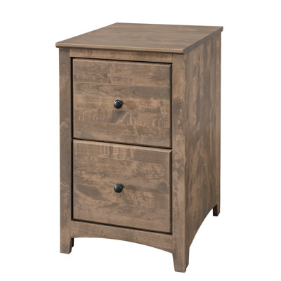 Malani 2-Drawer Vertical Filing Cabinet by Foundry Select
