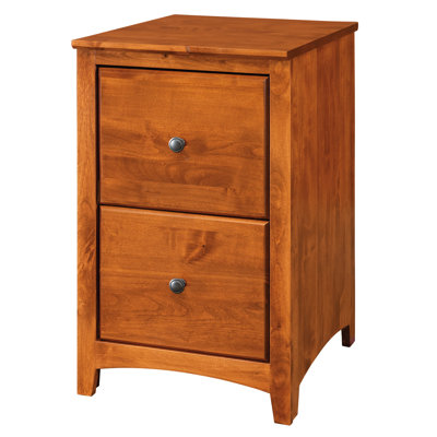 Malani 2-Drawer Vertical Filing Cabinet by Foundry Select