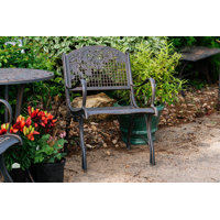 Millar Leaves New Patio Chair by Canora Grey